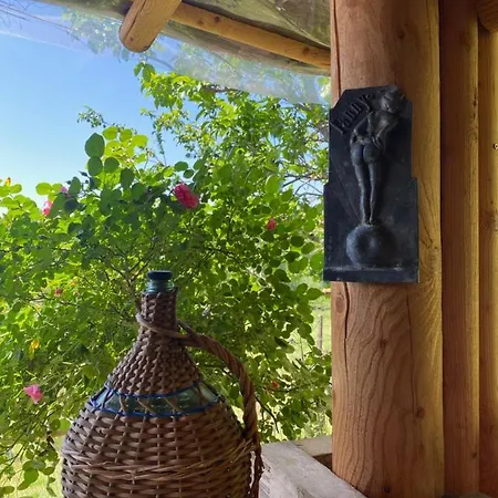 Patchamama Nyaraló *