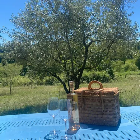 Patchamama * Pierrerue (Alpes-de-Haute-Provence)