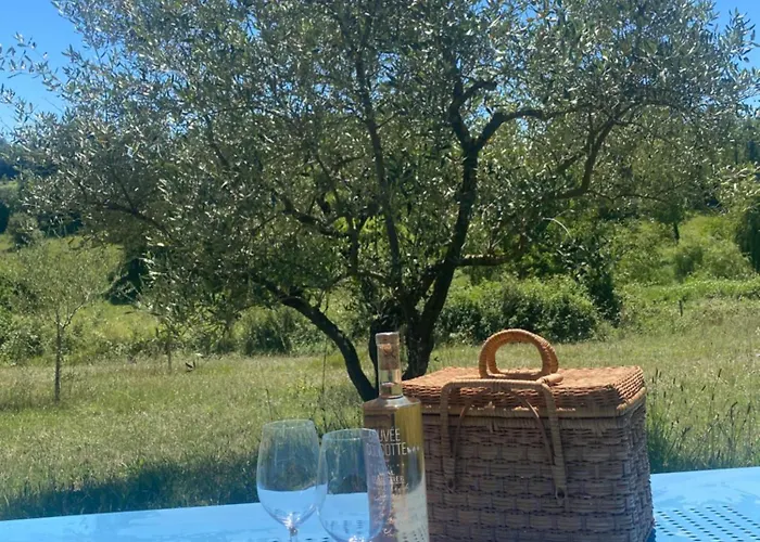 Patchamama * Pierrerue (Alpes-de-Haute-Provence)